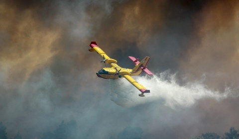 Rekordni šumski požari pokazuju potrebu za većim ulaganjima u hitne službe